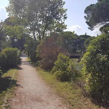 Miniappartamento Tra Centro E Pineta, Sul Canalino *